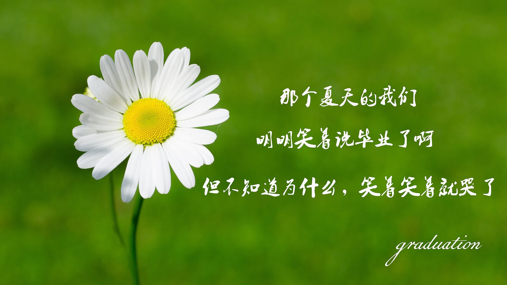 在校园推广瑜伽，提升学生身心健康，在校园推广瑜伽,提升学生身心健康的方法