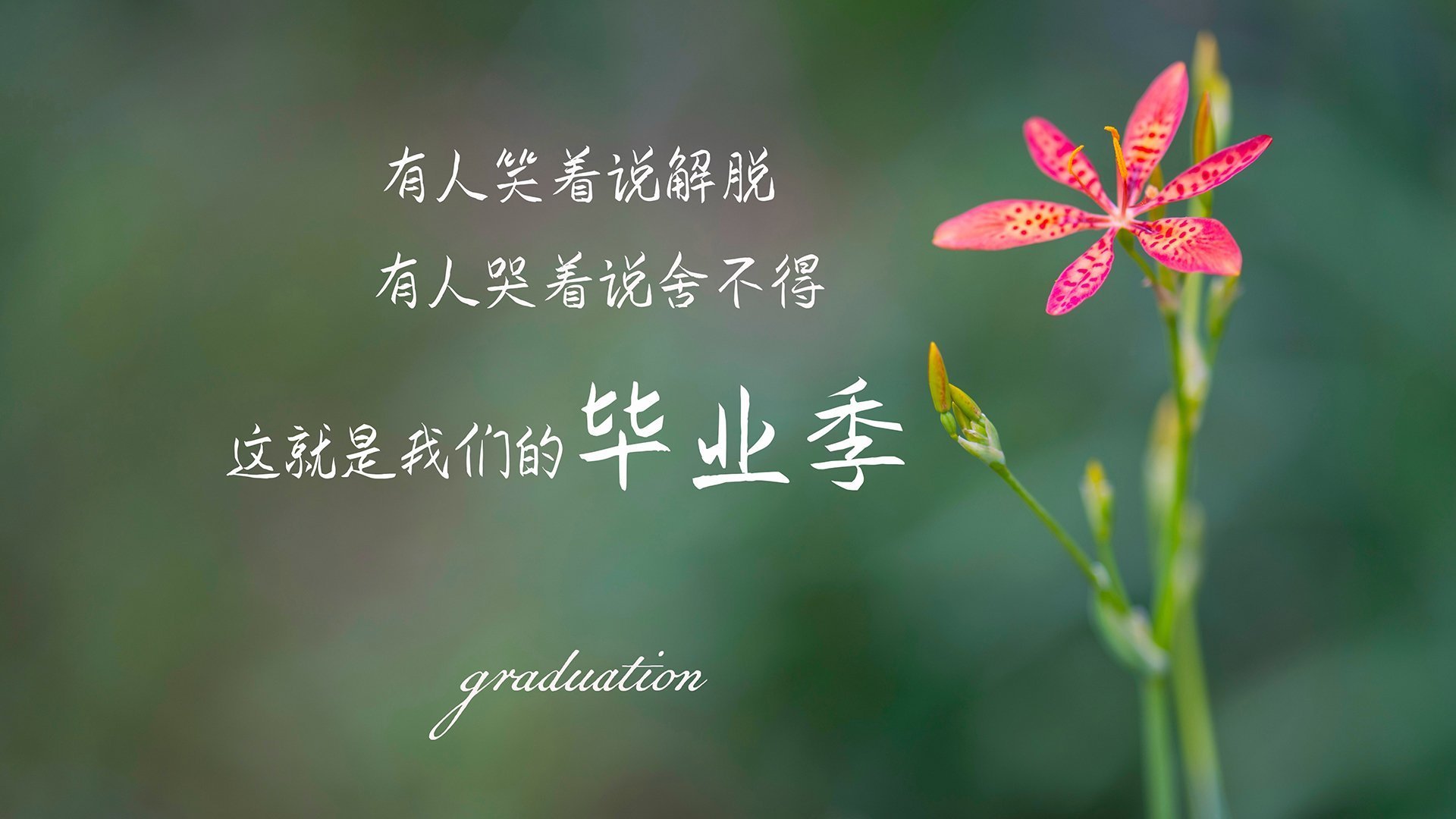 赛季“最震撼的逆转”：你绝对不能错过的逆袭奇迹，季后赛逆转