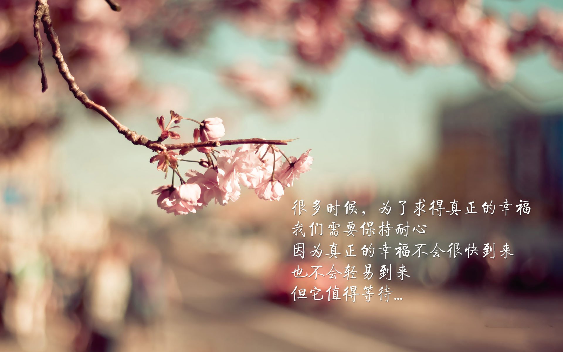 中国队在巴黎奥运会比赛中展现出强大的远射能力，里约奥运会中国打巴西