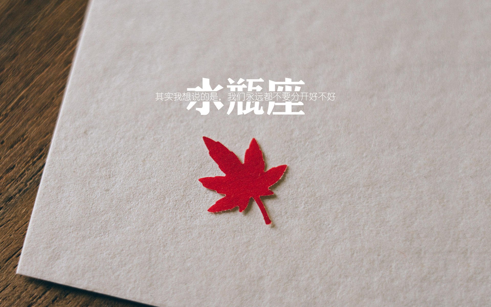 女子冰球国家队奥运分组赛程正式公布，女子冰球国家队队员