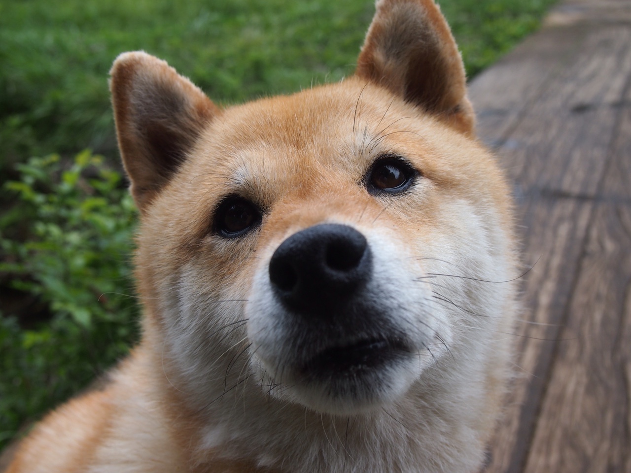 出发反应速度快，转身动作紧凑，动作反应快的成语