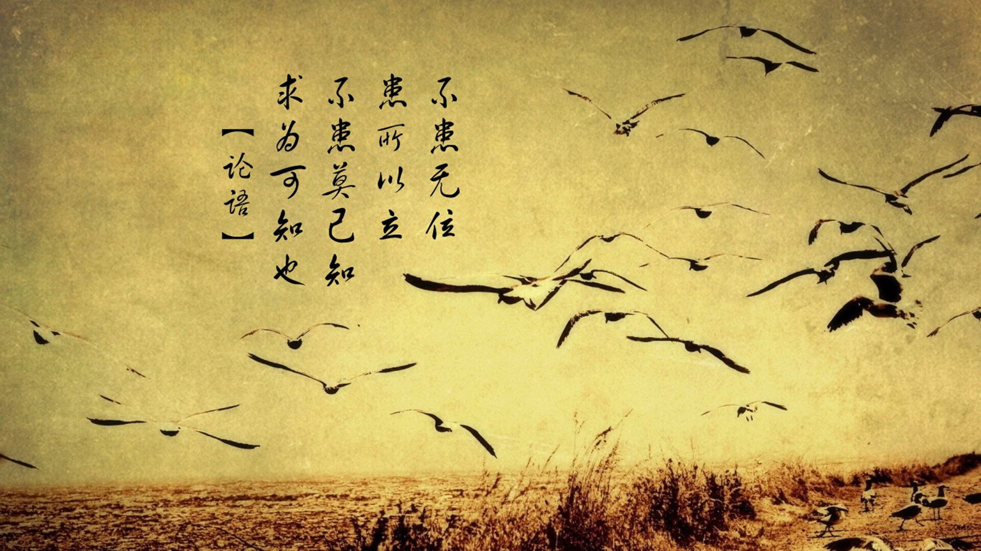 国足门将扑点成比赛最大功臣，国足门将训练